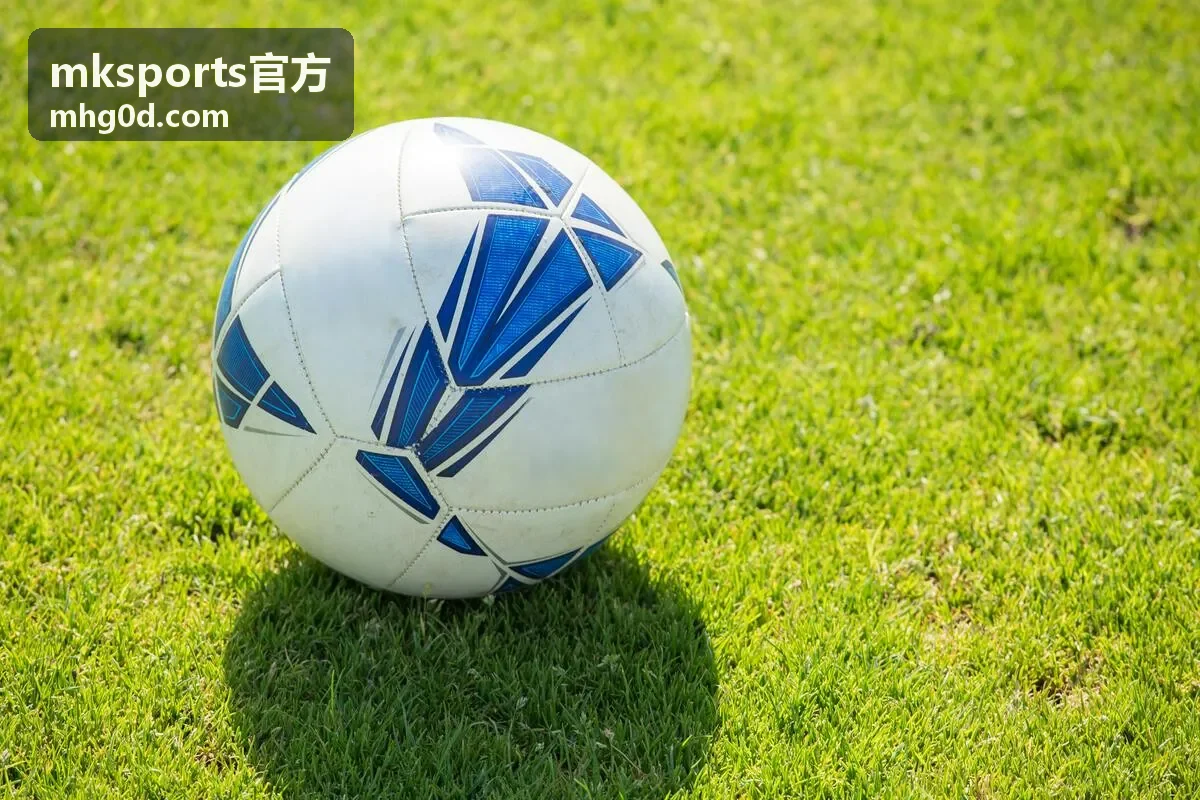 mksports官方棒球季后赛关键时刻慢镜封面
