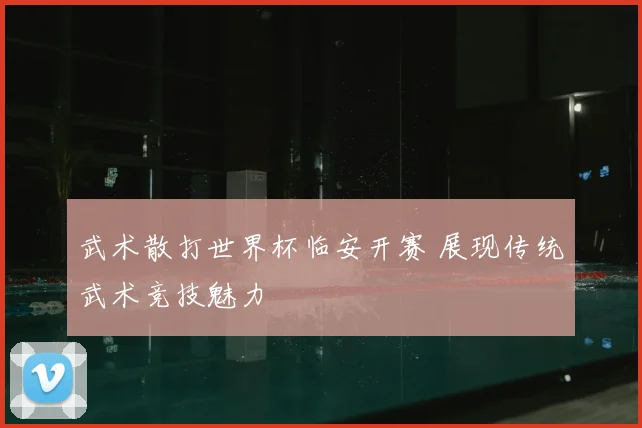 武术散打世界杯临安开赛 展现传统武术竞技魅力