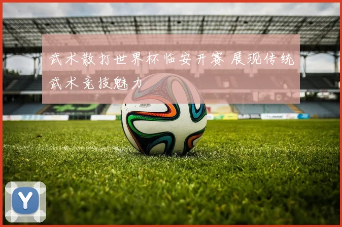 武术散打世界杯临安开赛 展现传统武术竞技魅力