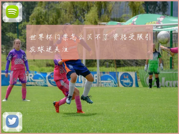 世界杯门票怎么买不了 资格受限引发球迷关注