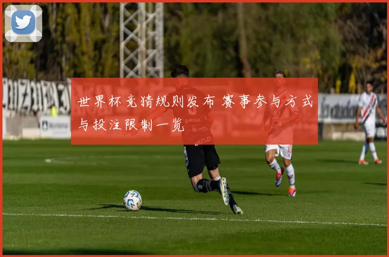 世界杯竞猜规则发布 赛事参与方式与投注限制一览