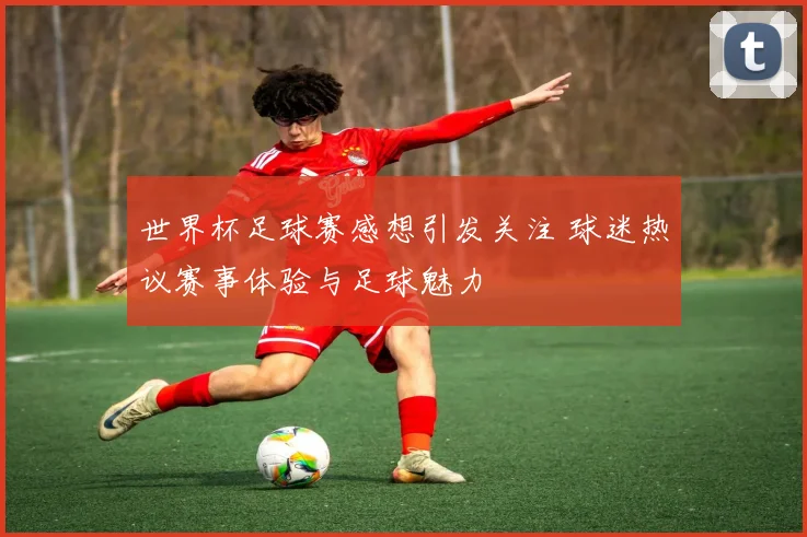 世界杯足球赛感想引发关注 球迷热议赛事体验与足球魅力