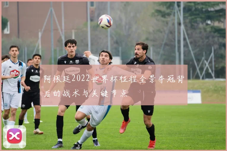 阿根廷2022世界杯征程全景夺冠背后的战术与关键节点