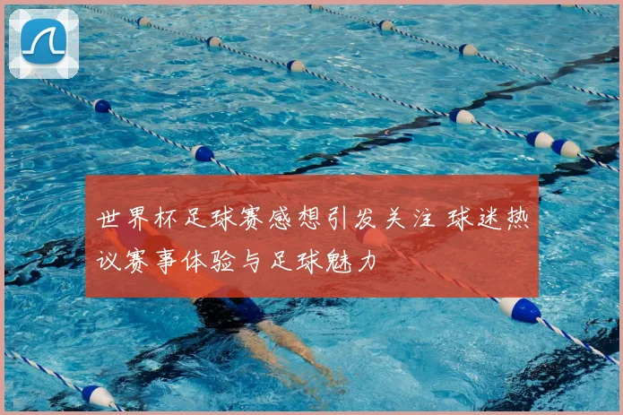 世界杯足球赛感想引发关注 球迷热议赛事体验与足球魅力