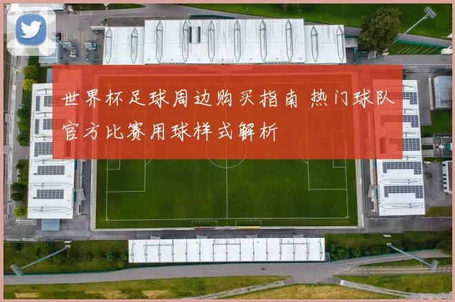 世界杯足球周边购买指南 热门球队官方比赛用球样式解析