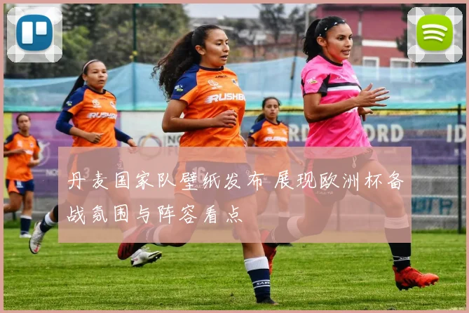 丹麦国家队壁纸发布 展现欧洲杯备战氛围与阵容看点