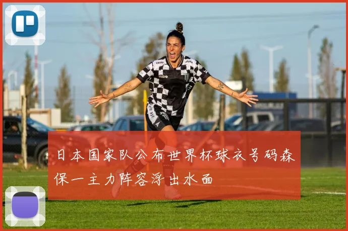 日本国家队公布世界杯球衣号码森保一主力阵容浮出水面